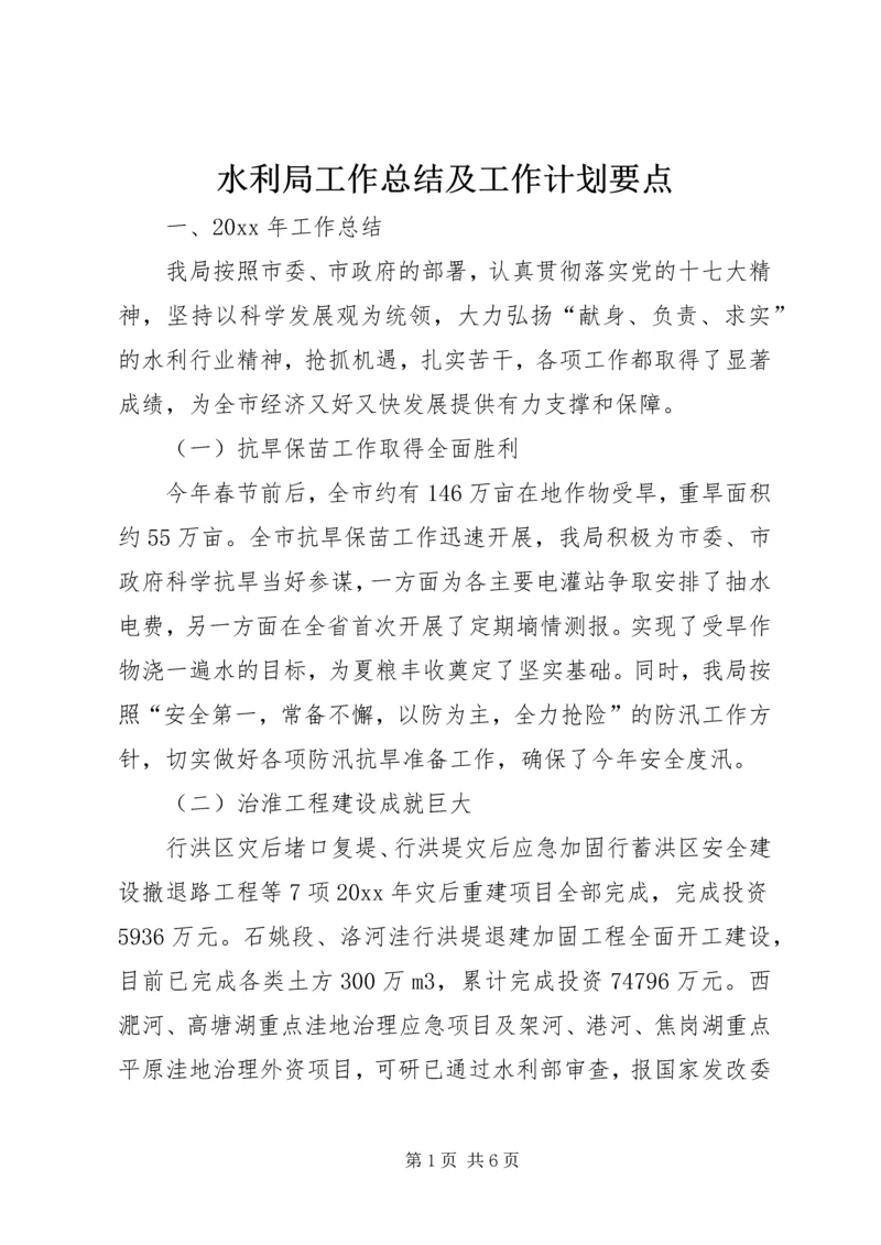 水利局工作总结及工作计划要点.docx