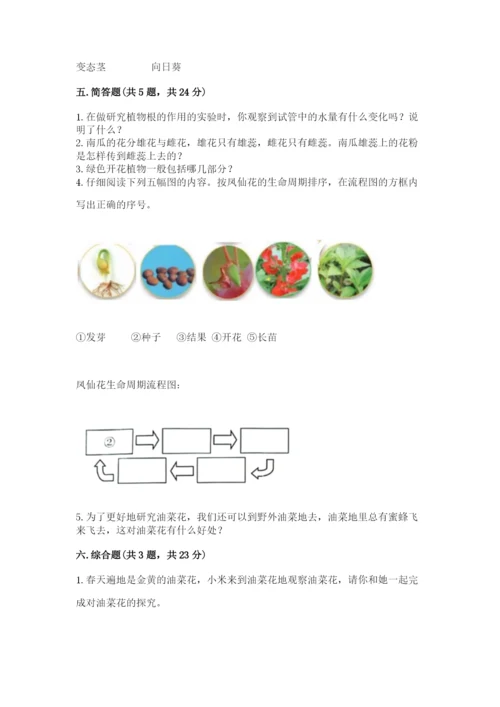 科学四年级下册第一单元植物的生长变化测试卷（巩固）.docx