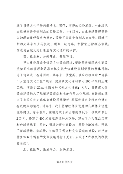 乡镇文化站典型材料.docx