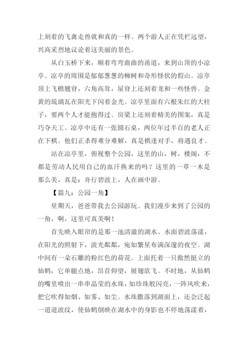 公园一角作文500字.docx