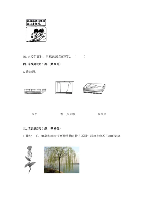 教科版一年级上册科学期末测试卷（网校专用）.docx