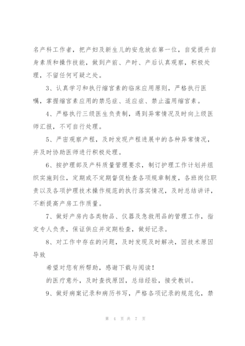 20XX年医院产科工作计划范文.docx