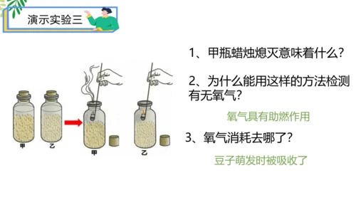 3.5.2 绿色植物的呼吸作用-2023-2024学年七年级生物上册优质课件（人教版）(共18张PP