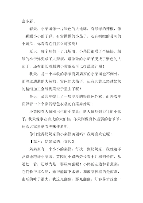 奶奶家的小菜园作文.docx