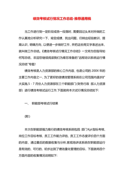 绩效考核试行情况工作总结.docx