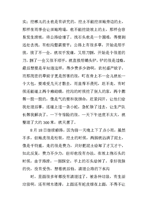 大学生社会实践报告农村