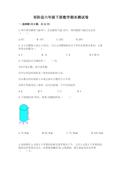 祁阳县六年级下册数学期末测试卷精品含答案.docx