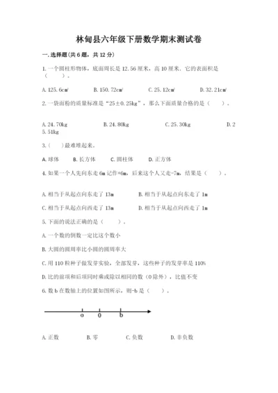 林甸县六年级下册数学期末测试卷（精选题）.docx
