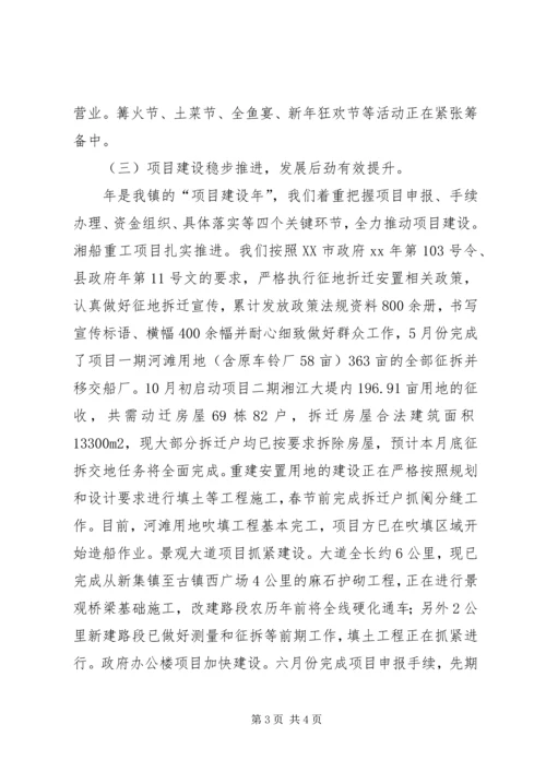 乡镇政府工作汇报.docx