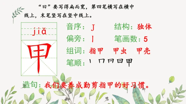 识字3 贝的故事（第一课时）课件