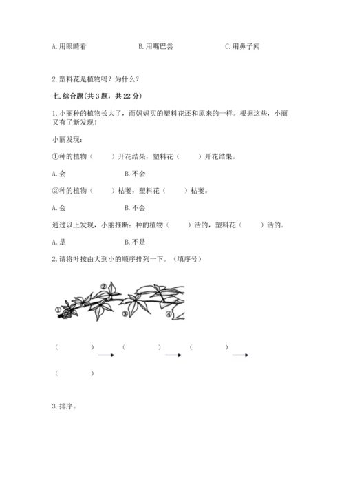 教科版科学一年级上册第一单元《植物》测试卷附参考答案【考试直接用】.docx