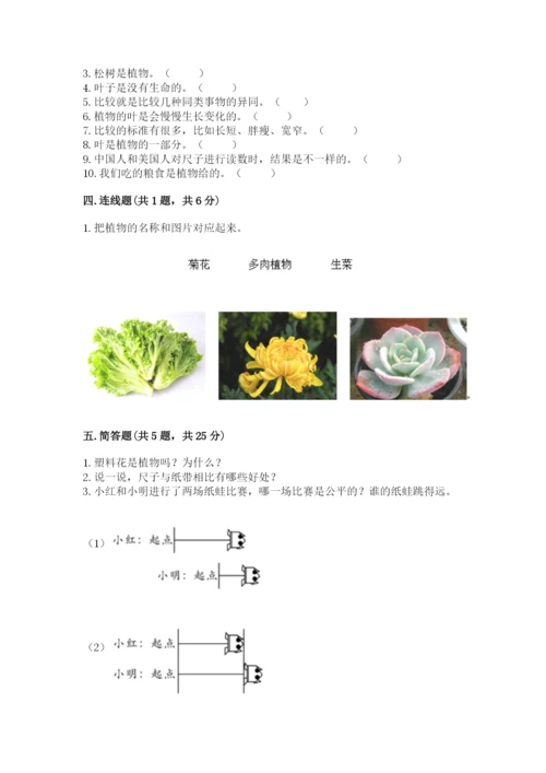 教科版一年级上册科学期末测试卷含答案ab卷.docx