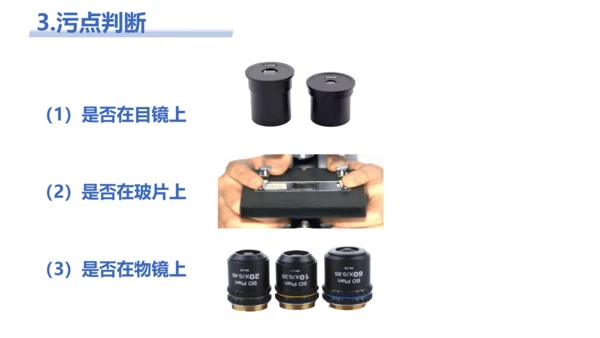 【核心素养目标】2.1.1《练习使用显微镜》课件(共42张PPT)