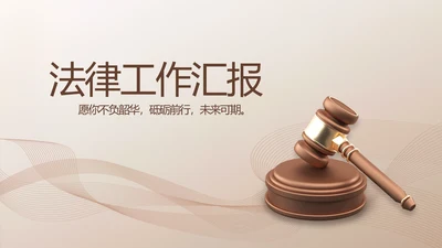 简约大气法律知识工作汇报动态PPT