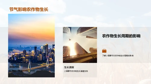 小满季节农业解析
