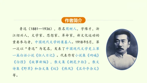 第5课 孔乙己 课件(共45张PPT)-【课堂无忧】新课标同步核心素养课堂