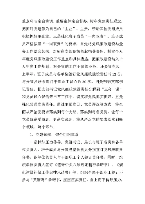 市地税局党组落实全面从严治党主体责任情况汇报