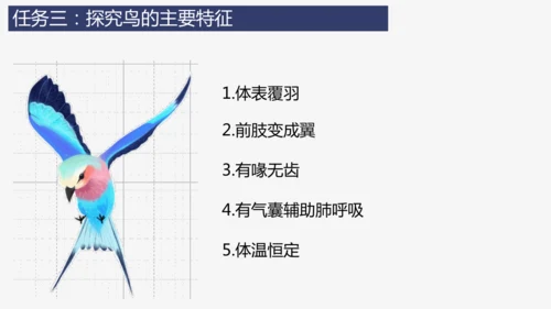 人教版生物七年级上册2.2.2《脊椎动物（三）鸟和哺乳动物》教学课件(共32张PPT)+视频素材