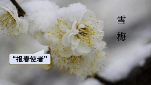 2024年秋部编版四年级上册9.《古诗三首》（课件 ）
