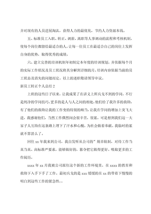 新员工转正个人总结