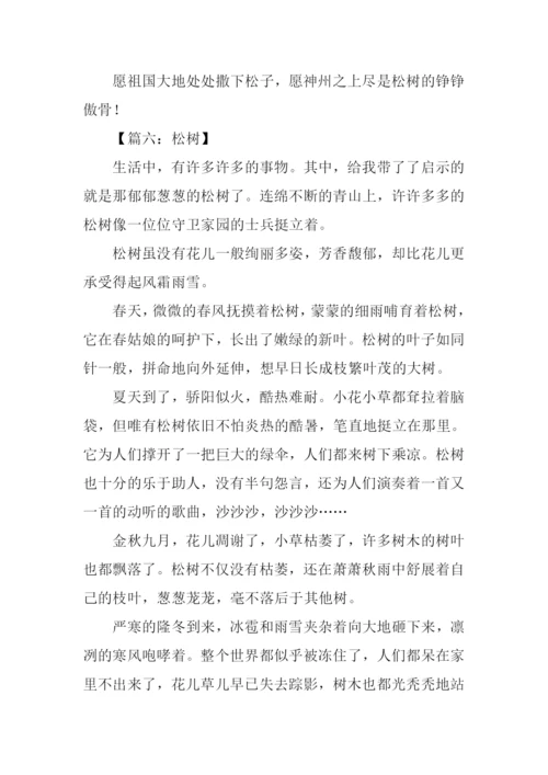 借物喻人的作文600字松树.docx