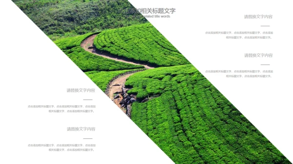 茶道茶文化中国风通用PPT模版