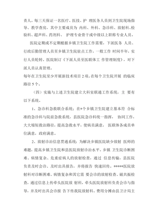 医联体实施方案.docx