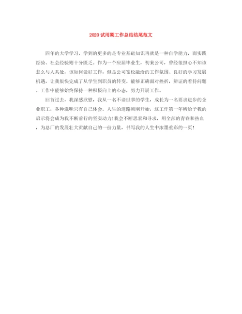 精编之试用期工作总结结尾范文.docx