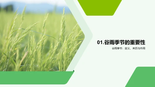 掌握谷雨季节农事法宝