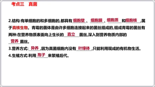 【人教八上生物期中复习考点梳理+临考押题】第四、五章 细菌、真菌和病毒（串讲课件）(共30张PPT)