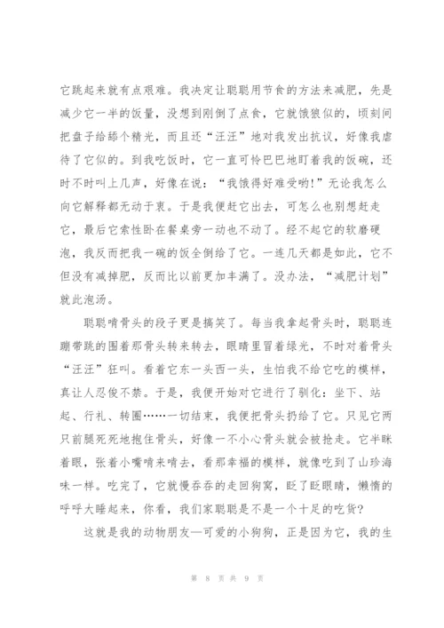 我的动物朋友小学作文范文6篇.docx