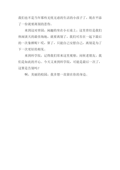 啊!美丽的校园作文.docx