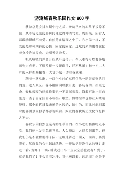 游淹城春秋乐园作文800字.docx