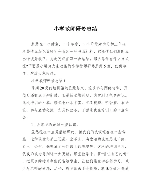 小学教师研修总结