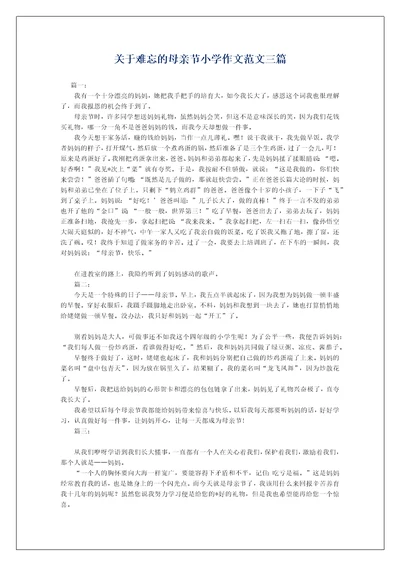 关于难忘的母亲节小学作文范文三篇