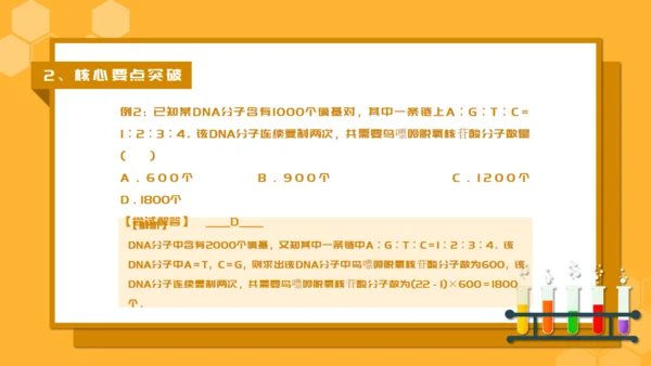 人教版生物课《DNA的复制》通用PPT课件