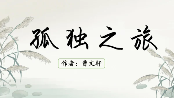 第17课《孤独之旅》课件
