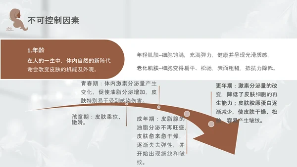 高级灰和棕色简约实拍风美容护肤美容知识培训PPT
