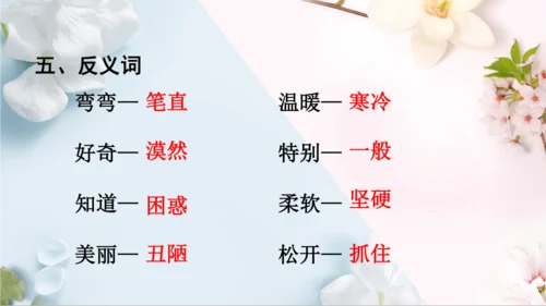 统编版语文二年级下册第二单元复习单（课件）