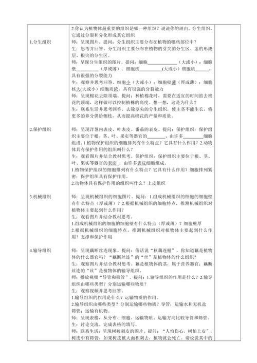 人教版（2024）生物七年级上册 1.3.3 植物体的结构层次（教案）