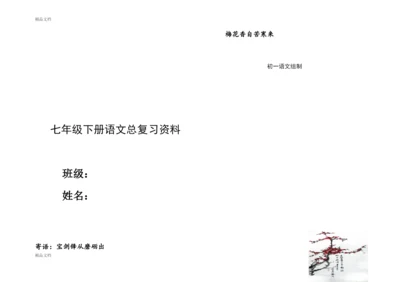 人教版七年级下册语文总复习资料(大全).docx