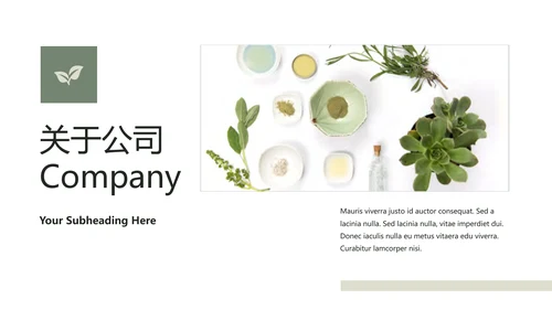 清新典雅绿茶果汁品牌茶文化宣传PPT模板