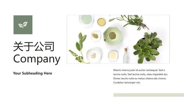 清新典雅绿茶果汁品牌茶文化宣传PPT模板