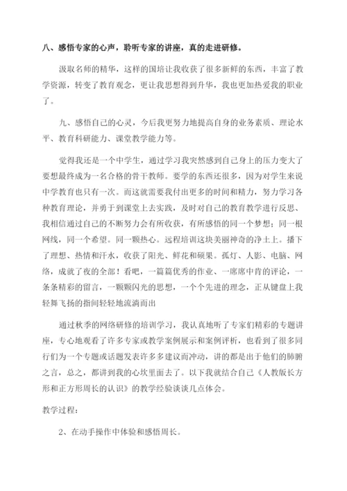 国培研修个人工作总结范文.docx