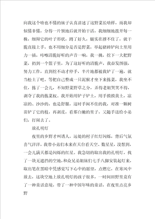 这个假期我在乡野间成长作文800字