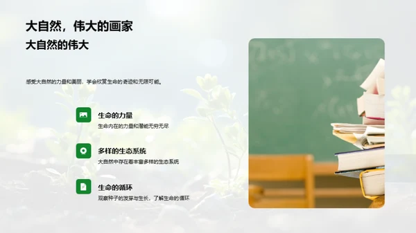 探索种子生命之旅