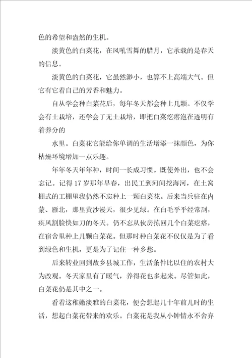 高中写景状物散文3篇
