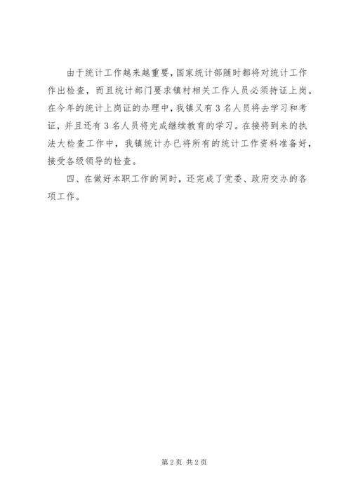 乡镇统计工作总结_1.docx