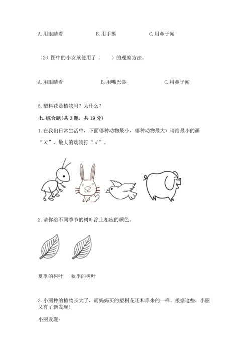 教科版一年级上册科学期末测试卷精品【能力提升】.docx