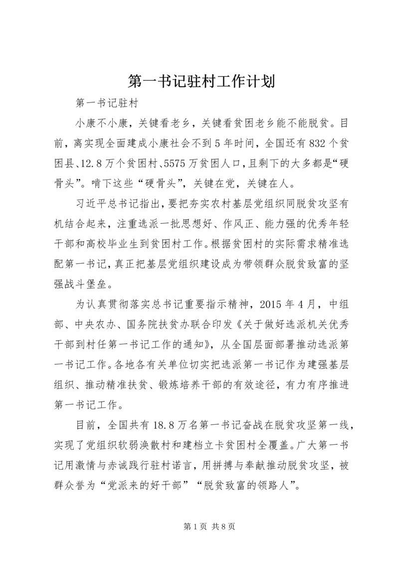 第一书记驻村工作计划 (4).docx